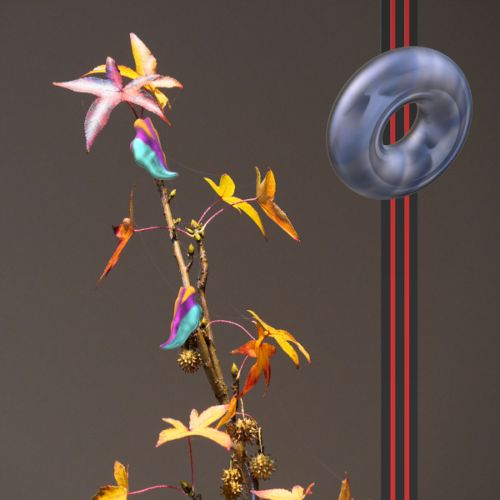 Cocons de chenilles mutantes (n° 4)