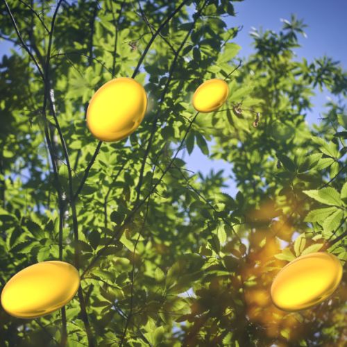 Douceur atmosphérique n° 2