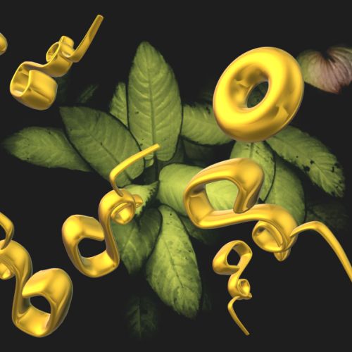 La plante verte II