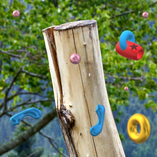 Tronc d’arbre coupé