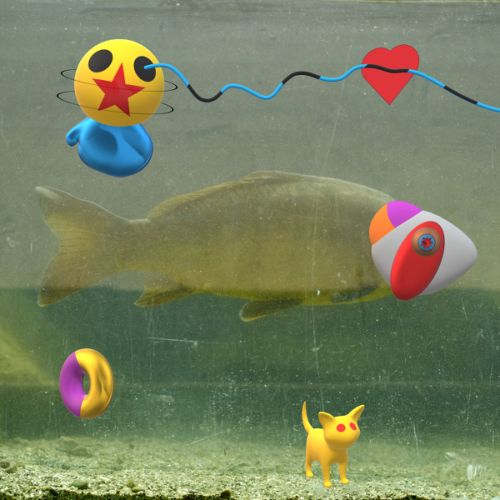 Poisson dans l’eau