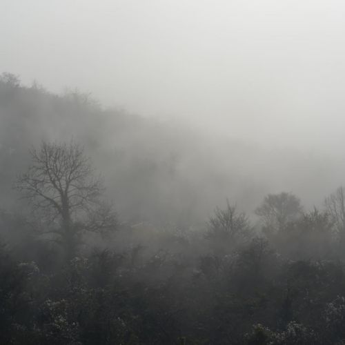 Sur les hauteurs de Paron