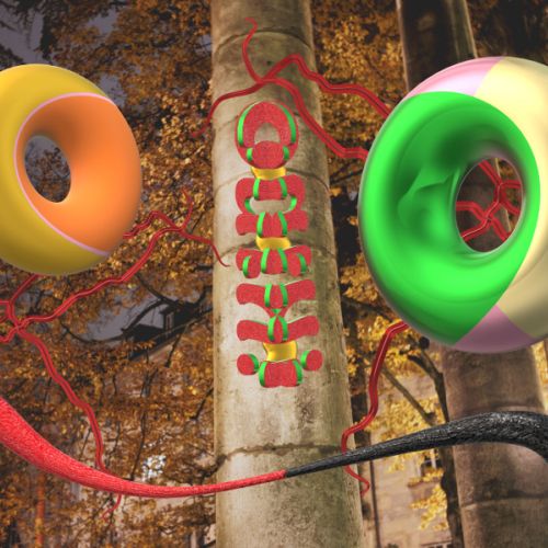 Nov. 2021 : découverte nocturne de Besançon, grâce à Olivier