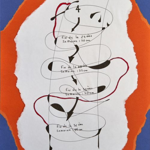 N° 184 - Taille du fœtus IV - 1997 (23,9 x 31,9 cm)