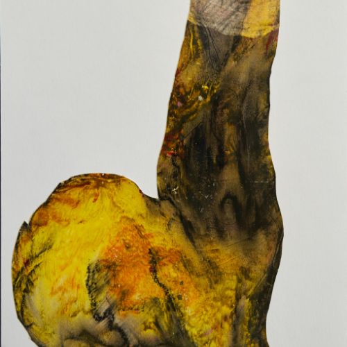 N° 32 - Un coq - 1996 (16,9x29,6 cm)