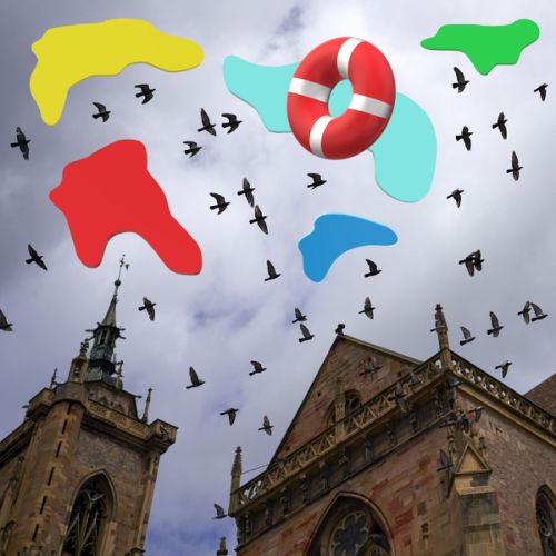 Les oiseaux