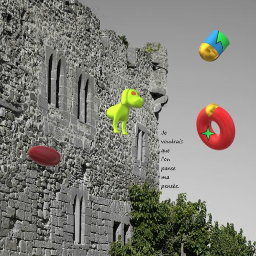 Je voudrais que l’on panse ma pensée (n°1)