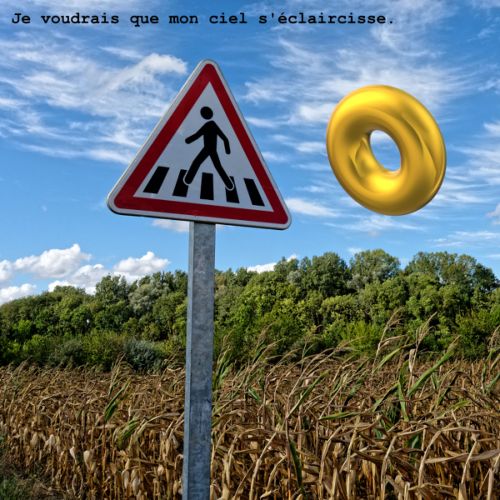 Je voudrais que mon ciel s'éclaircisse (n°1)