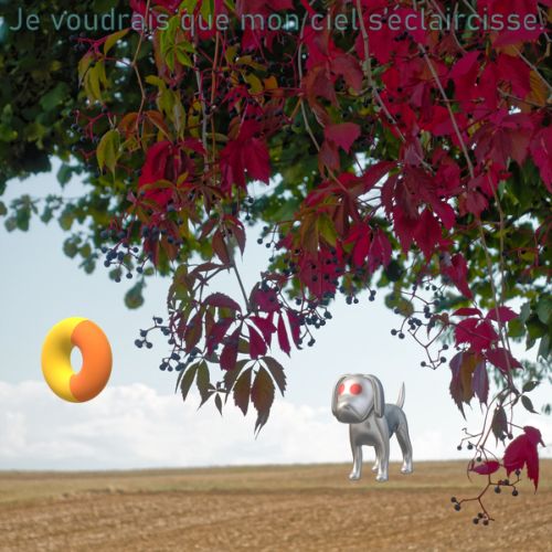 Je voudrais que mon ciel s'éclaircisse (n°8)