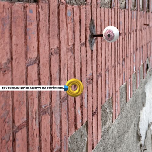 Je voudrais qu’on accepte ma différence (n°2)