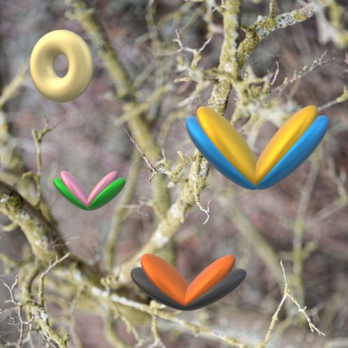 Souvenirs de l’arbre à papillons qui était chez ma mère