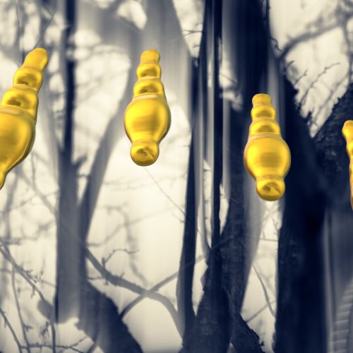 Balade effrayante en forêt